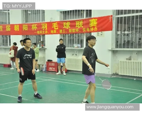 成都羽毛球队在杯赛中的技术表现分析与亮点总结